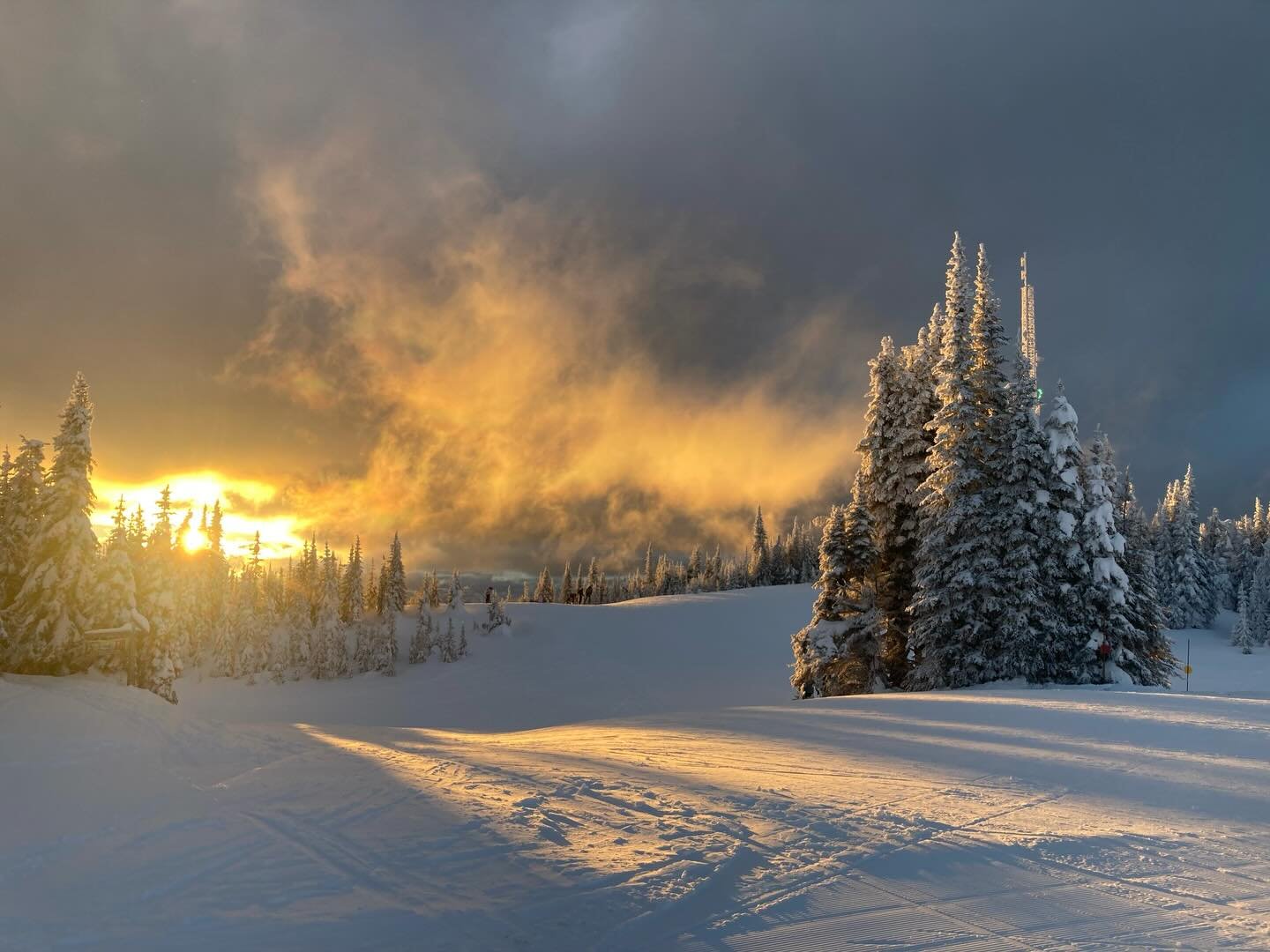 Merry Christmas everyone. We&rsquo;ve traveled to British Columbia to spend Christmas with our son but arrived early for a week of perfect Nordic skiing #stonecarveronskis #nordicskiing #silvermountain #vernonbc #christmasvacation