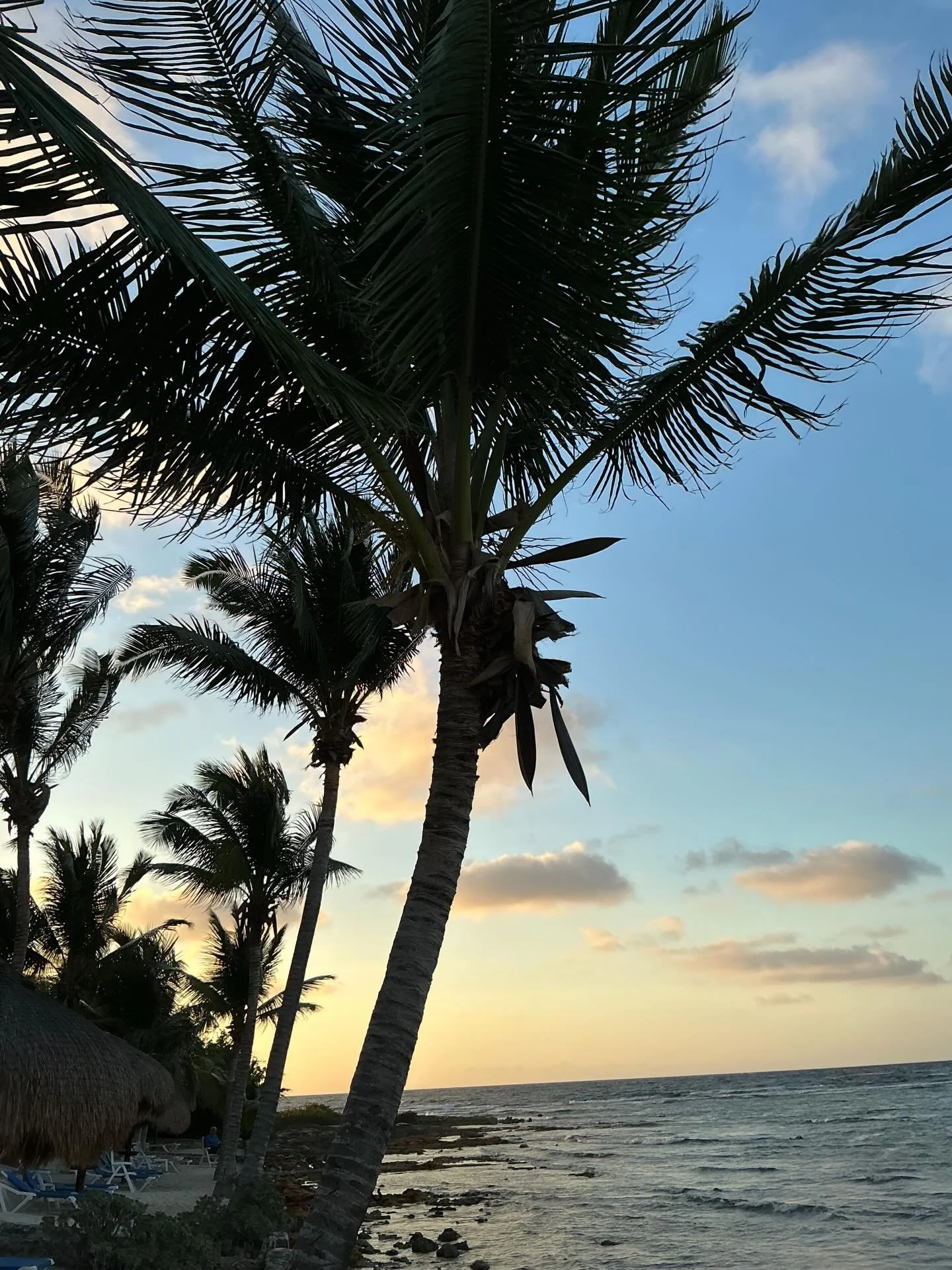 At our favourite retreat for just a couple of days more. Great for amping up the creative juices. Looking forward to returning to the studio next week #stonecarver #creativeretreat #yucatan #inspiration #coatamundi