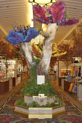 diffa 3.jpg