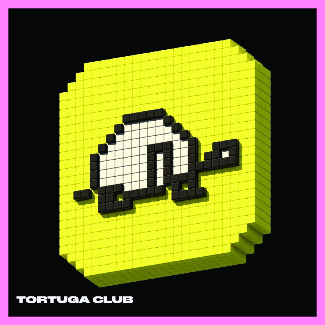 Tortuga Club Website.jpg