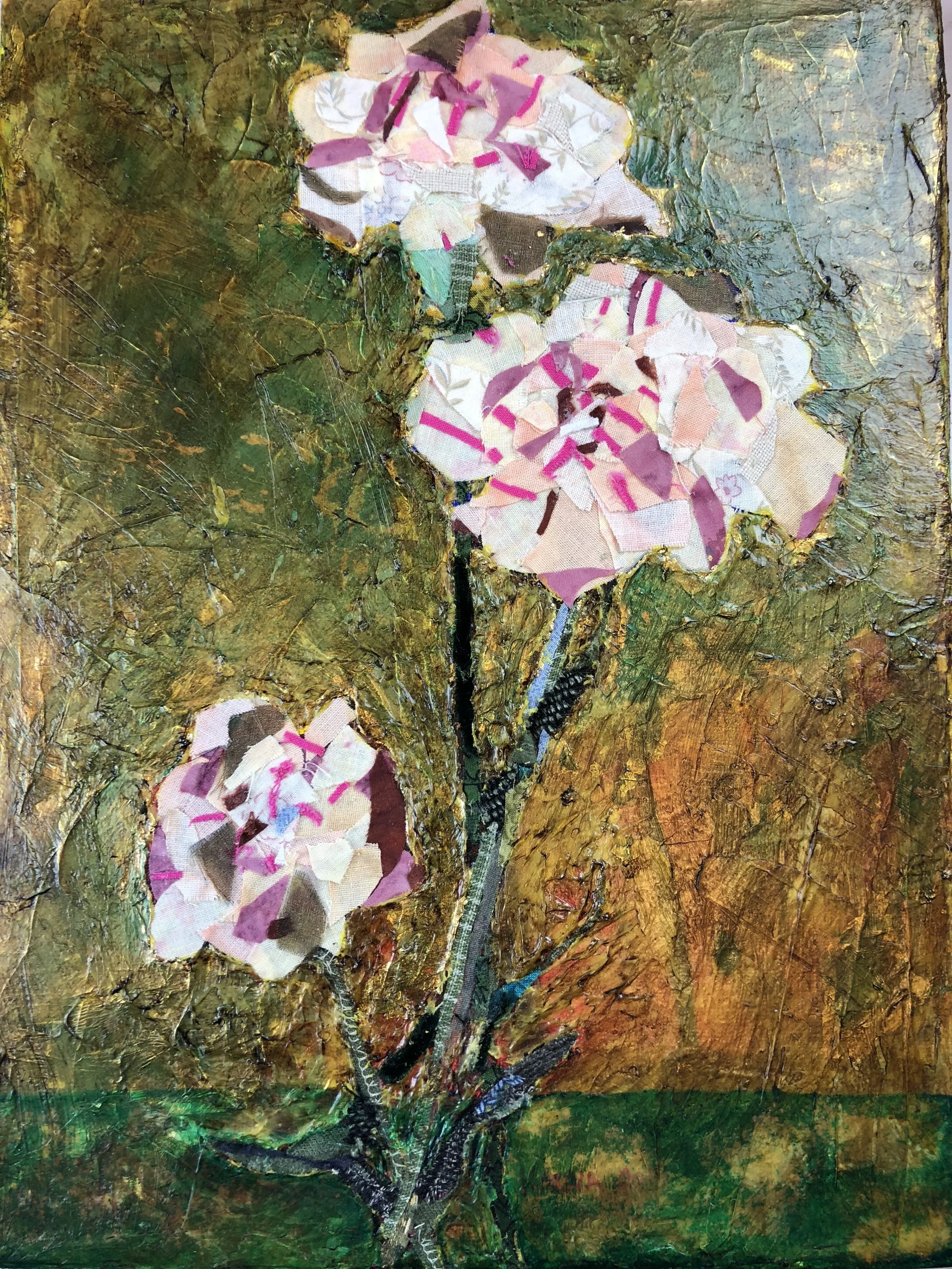 Pink Stripe Carnations