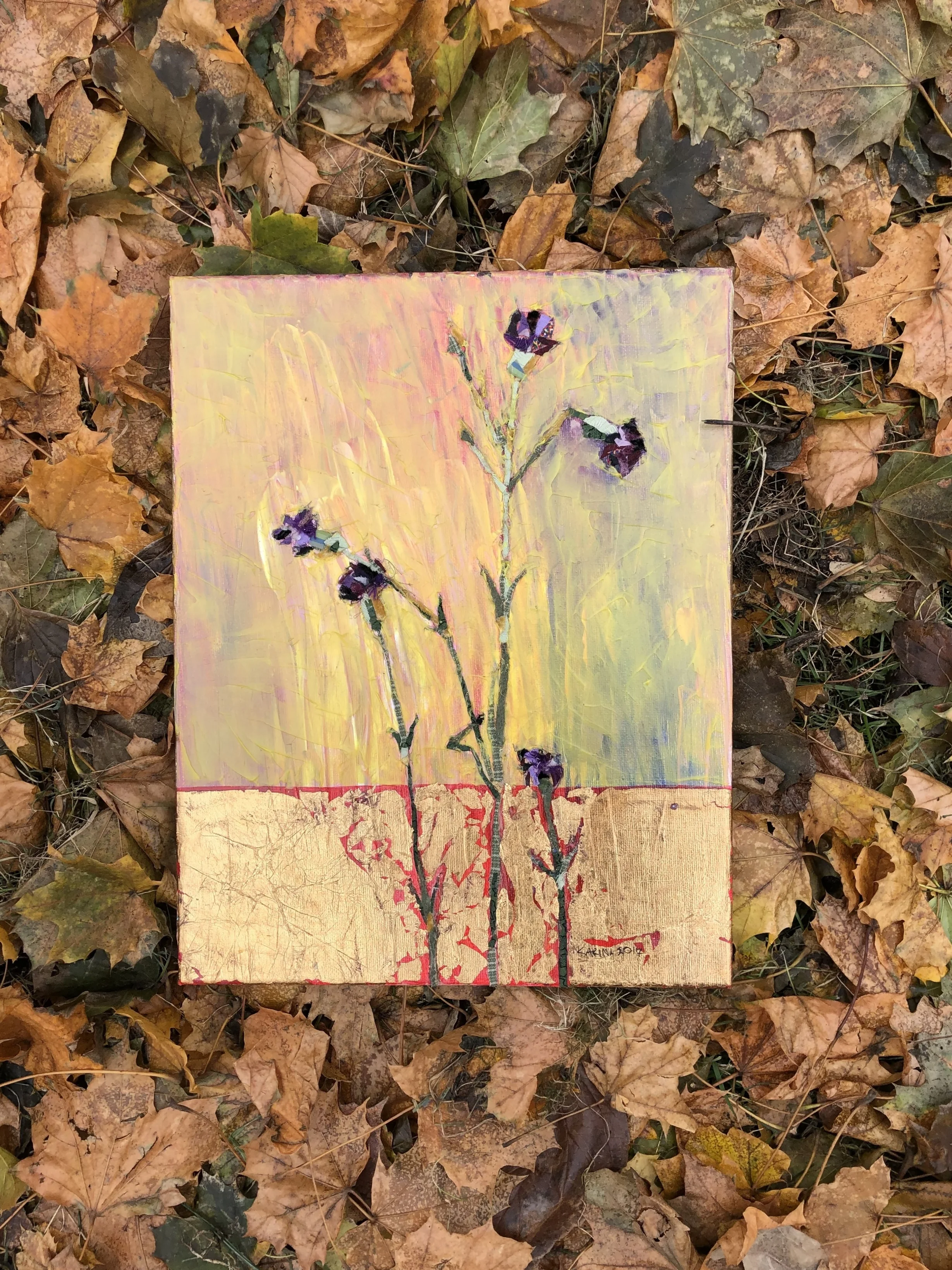 Purple Carnations