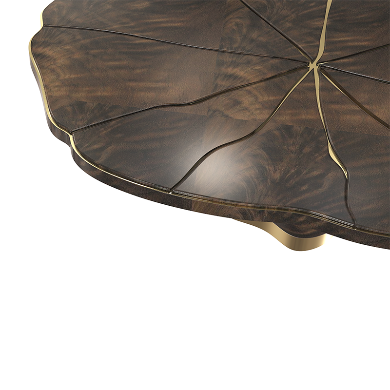 majus-center-website-detail_18-05-18m5xtil_g.png