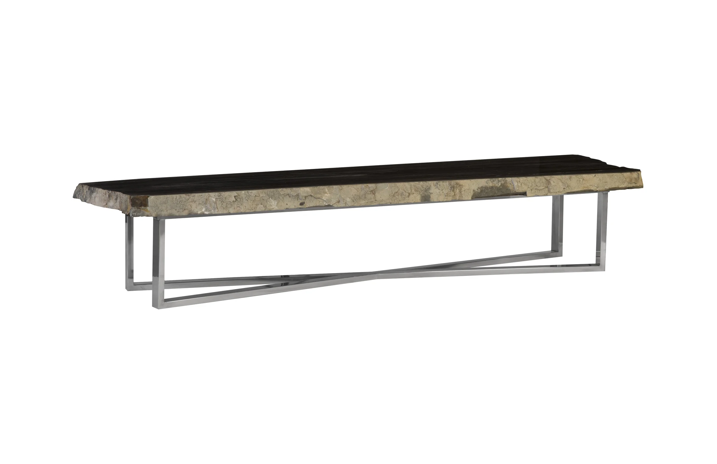 PETRIFIED WOOD COFFEE TABLE | STEEL BASE