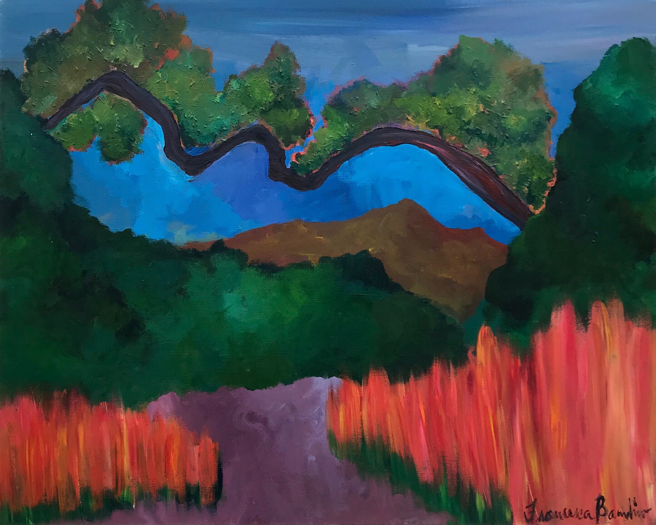 Colorful Canyon