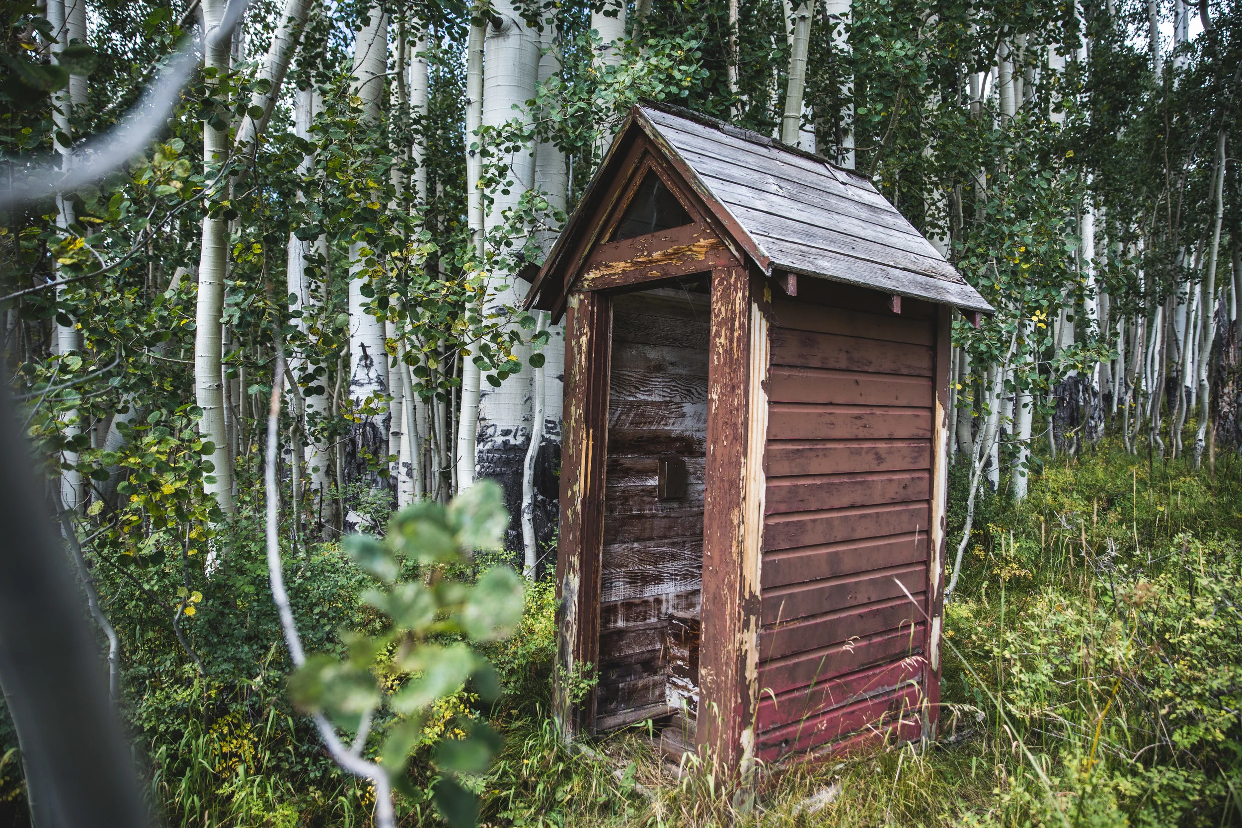 Not much of a view from this one, in the Manti La Sal National Forest, but the feeling of being surrounded by a beautiful aspen glade was real nice. I am not sure how often this one is used. It loses points for having no TP and likely lead paint, but it was cozy. RATING: ★★★☆☆