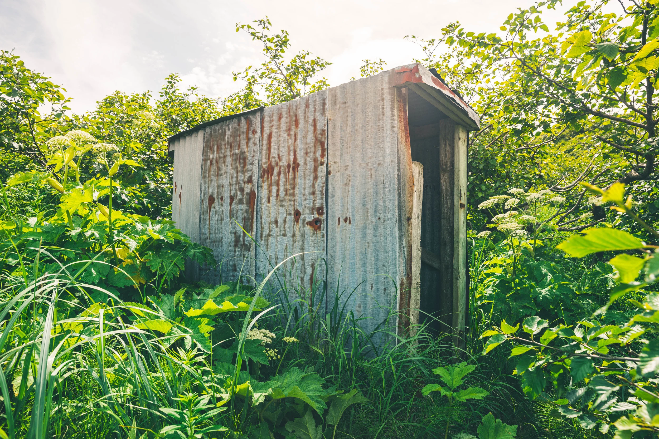 This backcountry water closet is located in the most remote and least visited unit of the National Park system, Aniakchak National Monument. This outhouse happens to be one of just two pieces of infrastructure in the entire monument. While I was disappointed the outhouse did not face the sea, it did offer a surprisingly comfortable experience. This toilet offers much needed comfort in a harsh, harsh landscape. The toilet itself is surrounded by cowparsnip, a plant which can cause incredibly painful rashes all over the body if you rub up against it and UV light is present. In addition this area has the highest concentration of brown bears in Alaska, I nearly bumped into one while exiting the toilet. Extra points for a sense of adventure! RATING: ★★★★☆