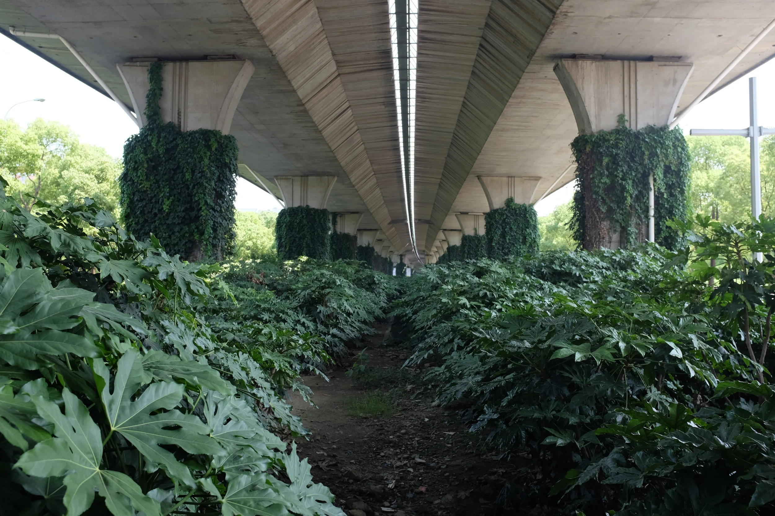 Back in Shanghai: Transportation