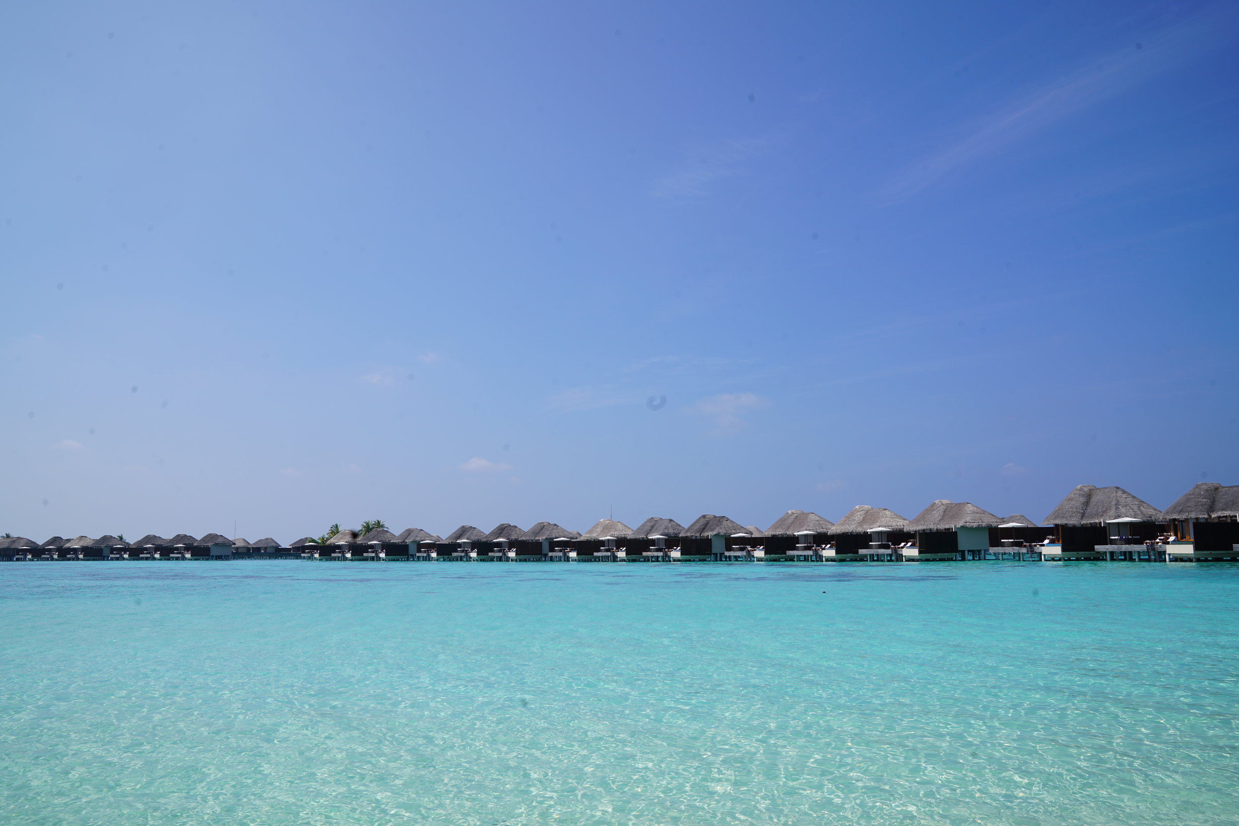 Paradise Found: W Maldives