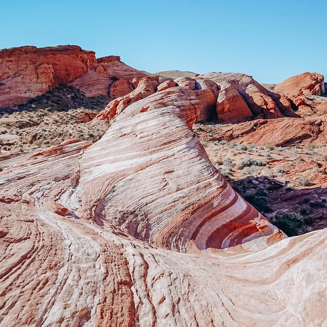 Vegas, but For Nature