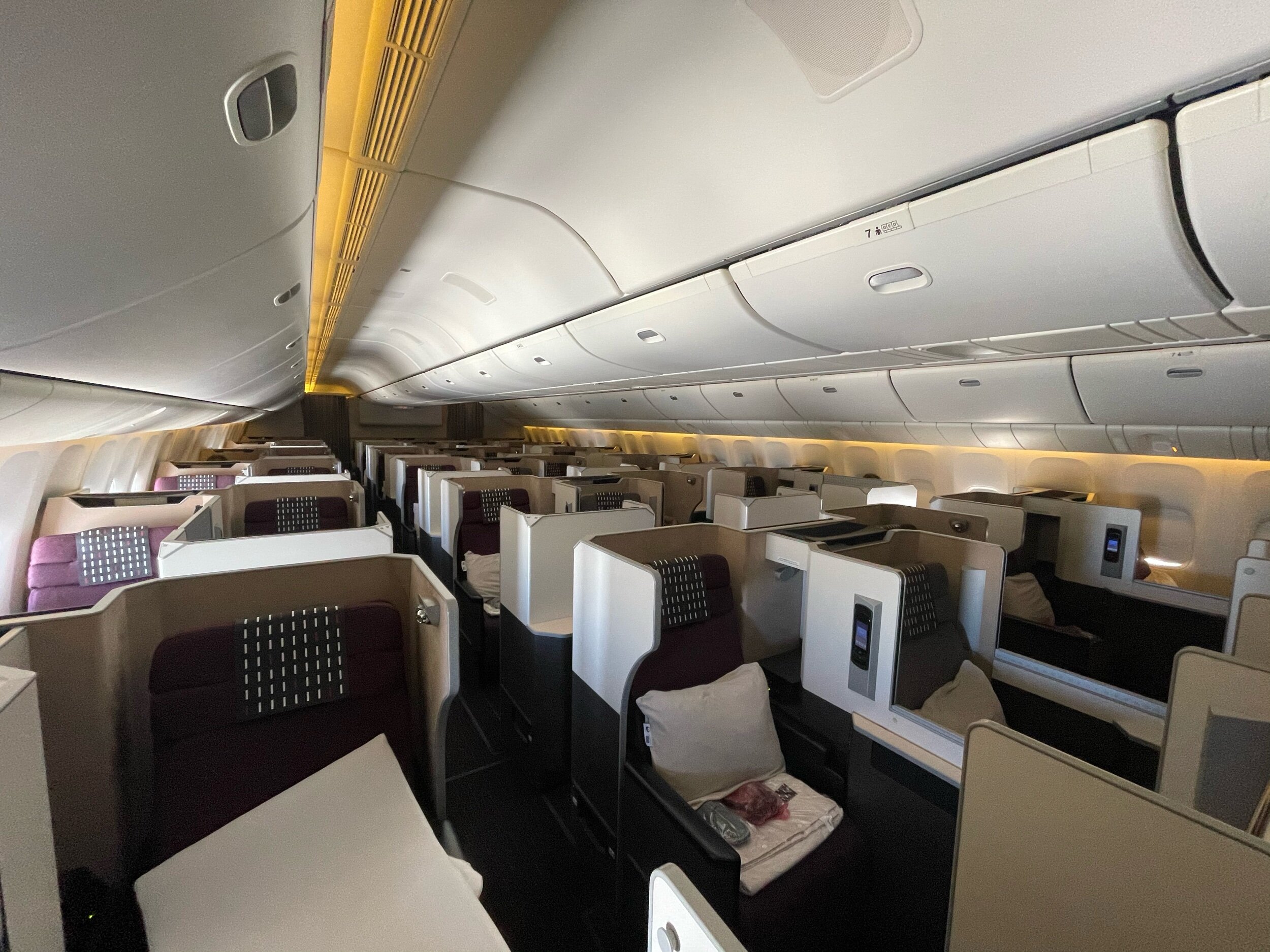 Japan Airlines Business Class