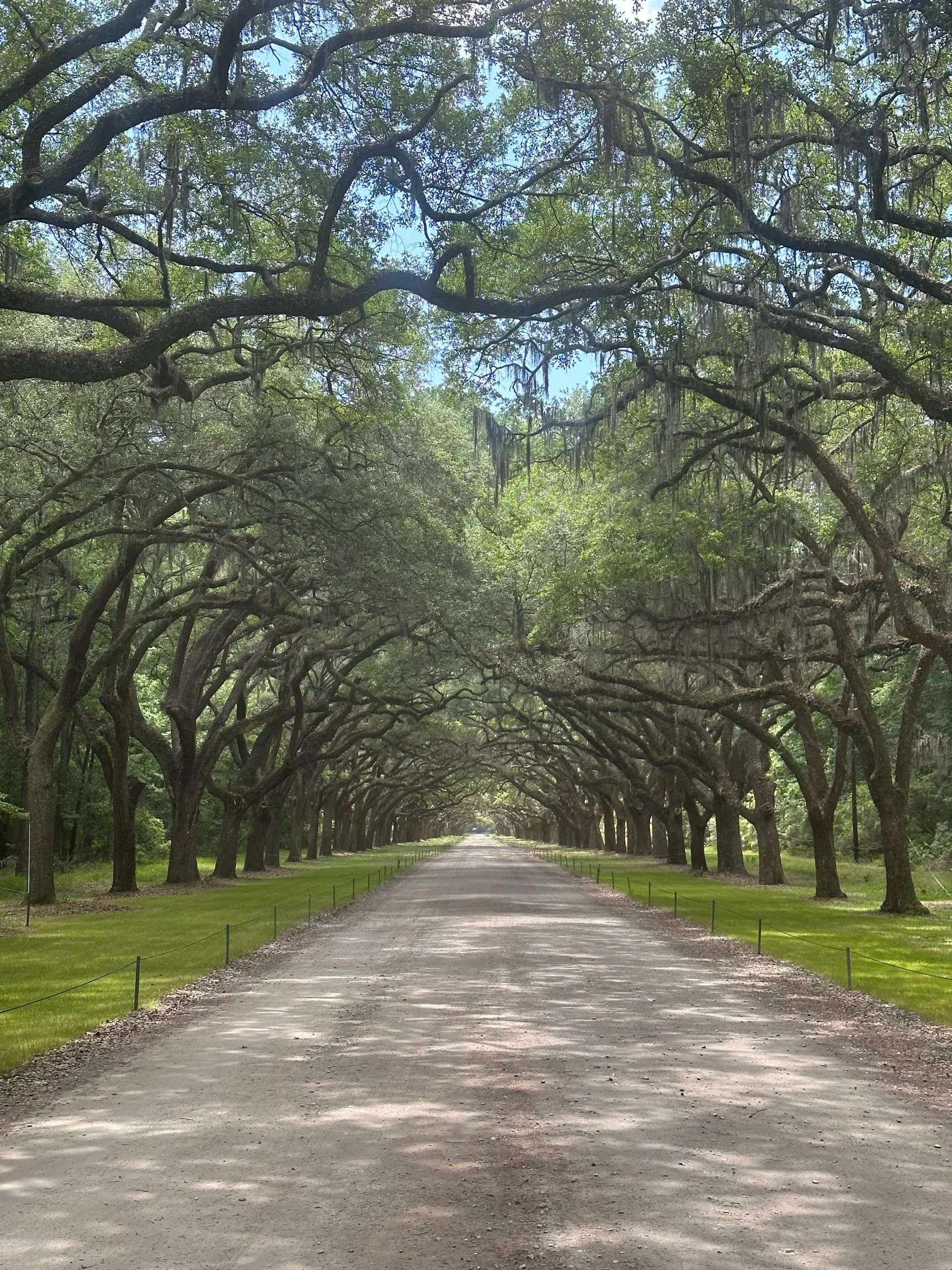 Driving New York to Miami