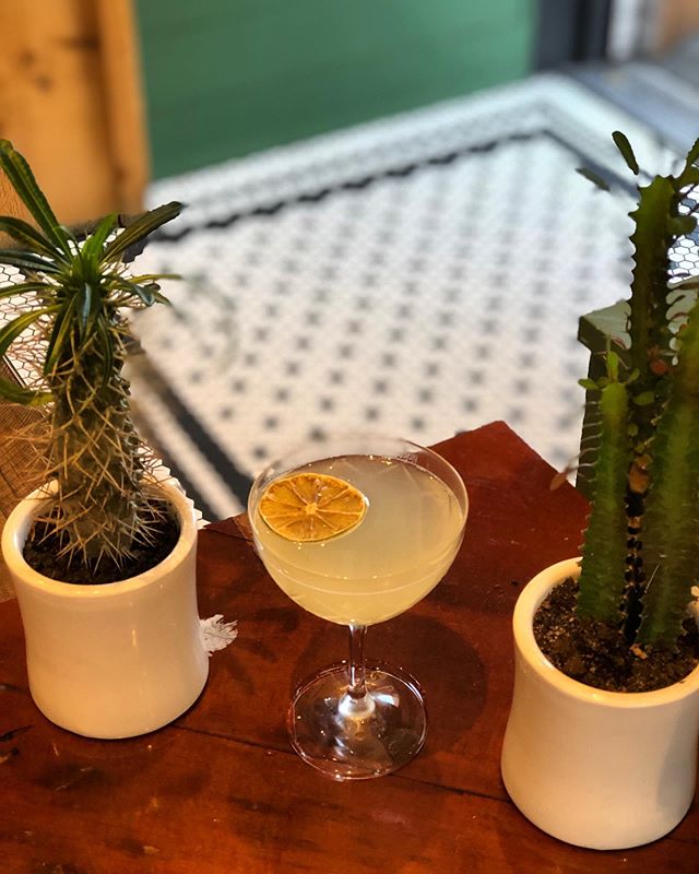 Feeling parched? Today is #nationaldaiquiriday 🍹! This statuesque beauty could belong to you if you pop on by @southernproperboston today! #thirsty #limeandrum #perfectpair