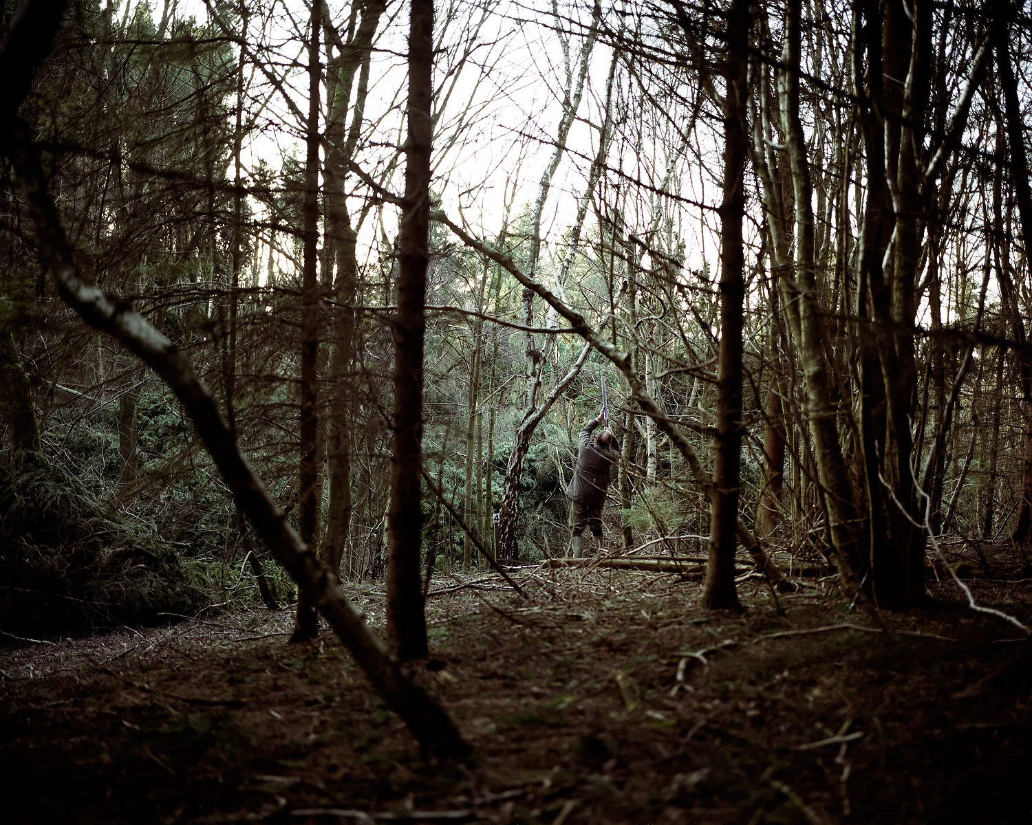 Shooter-Wood.jpg