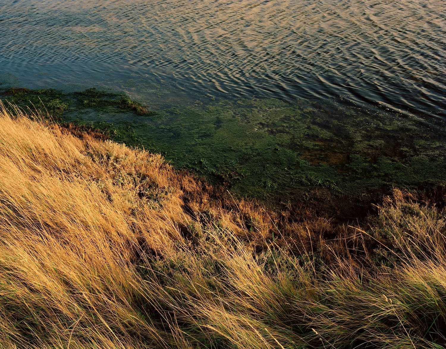 5x4-006_oliver_perrott_photography.jpg