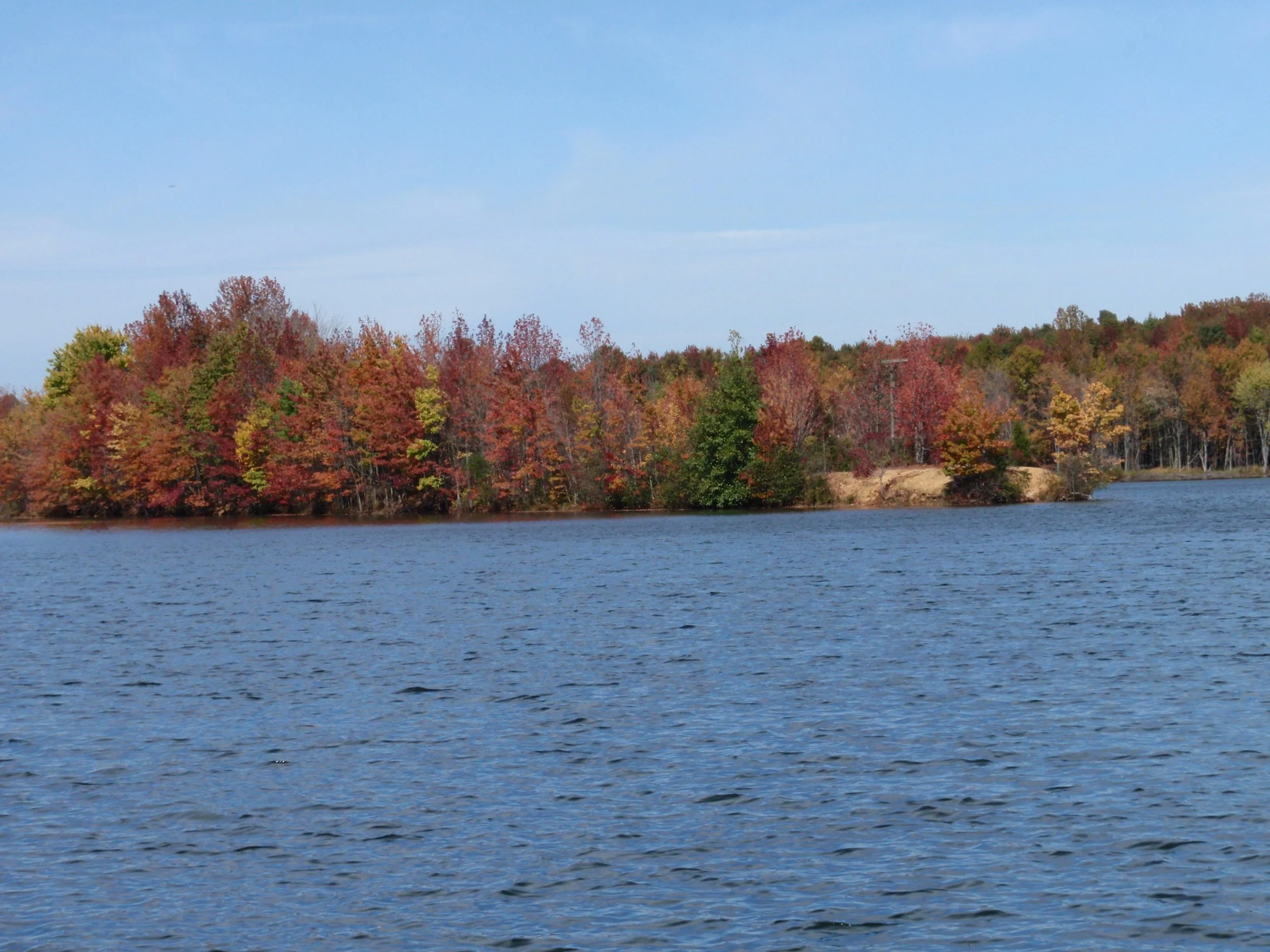 PA180092.jpg