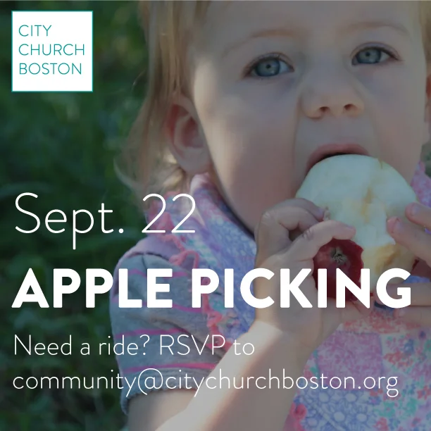 Apple Picking-01.jpg