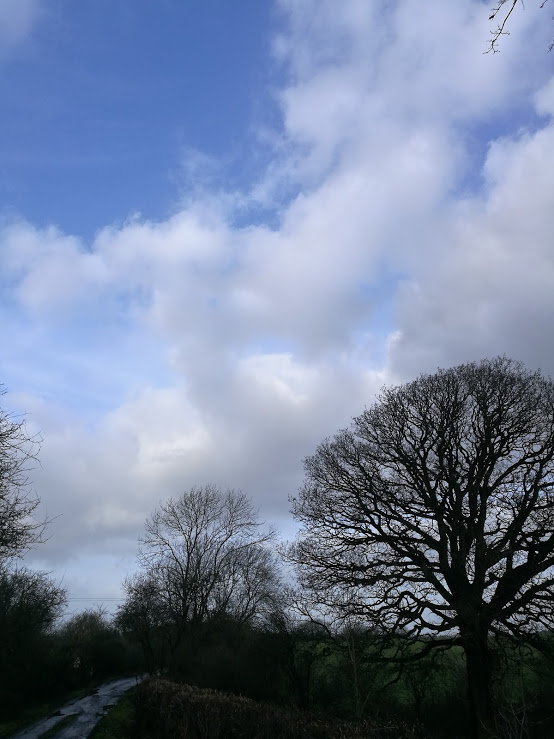 IMG_20180104_105649.jpg