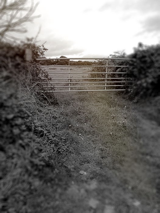 the Thinking Gate…