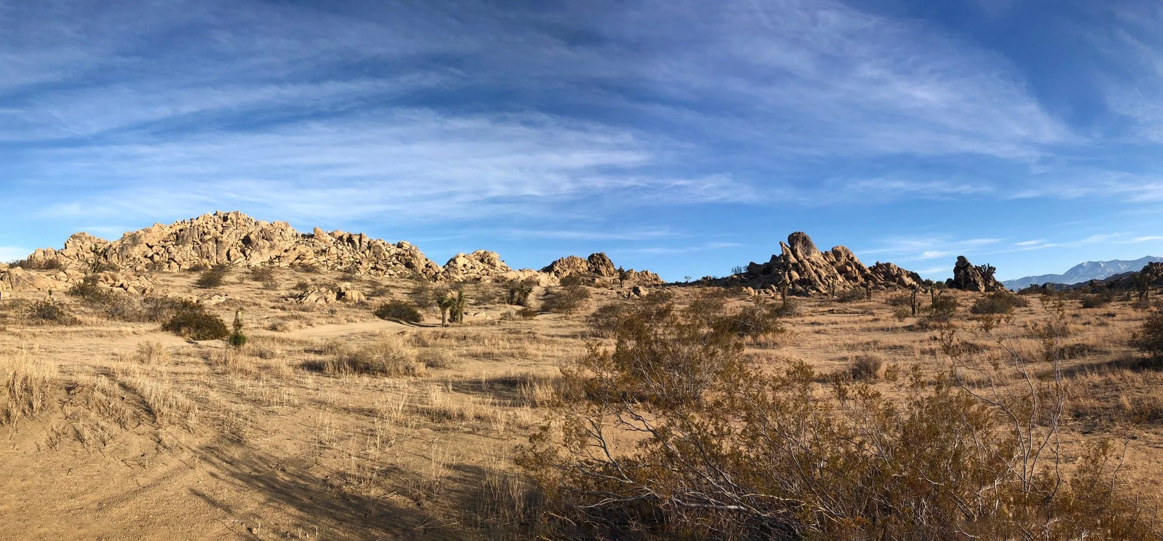 IMG_1047-Panorama.jpg