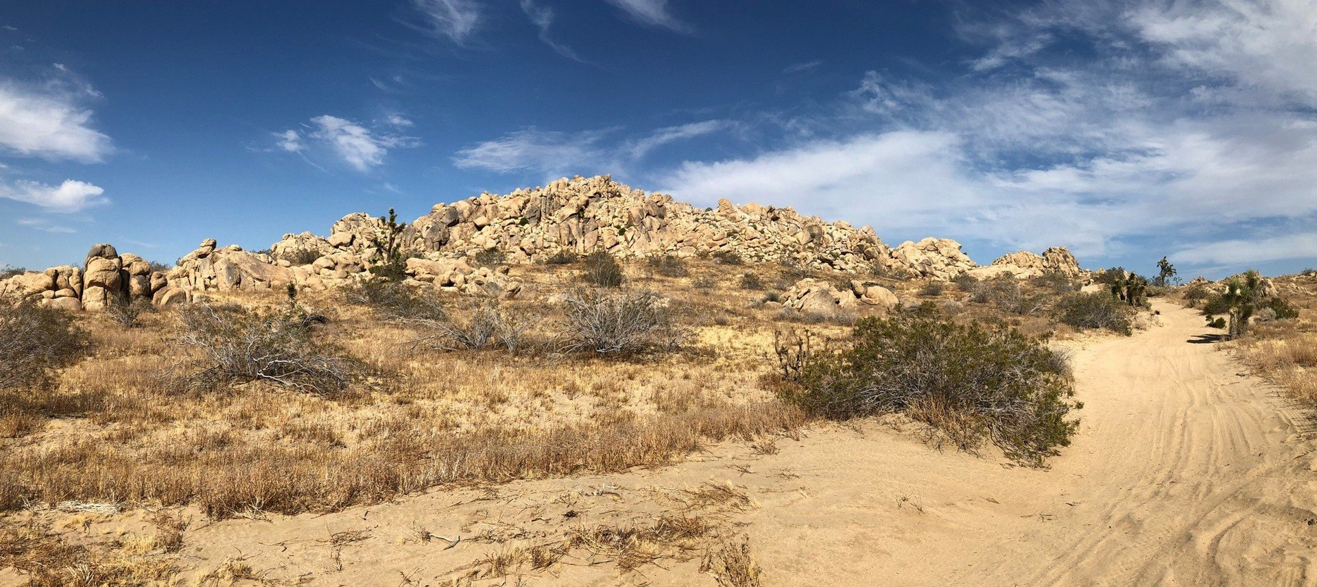 IMG_1742 Panorama.jpg