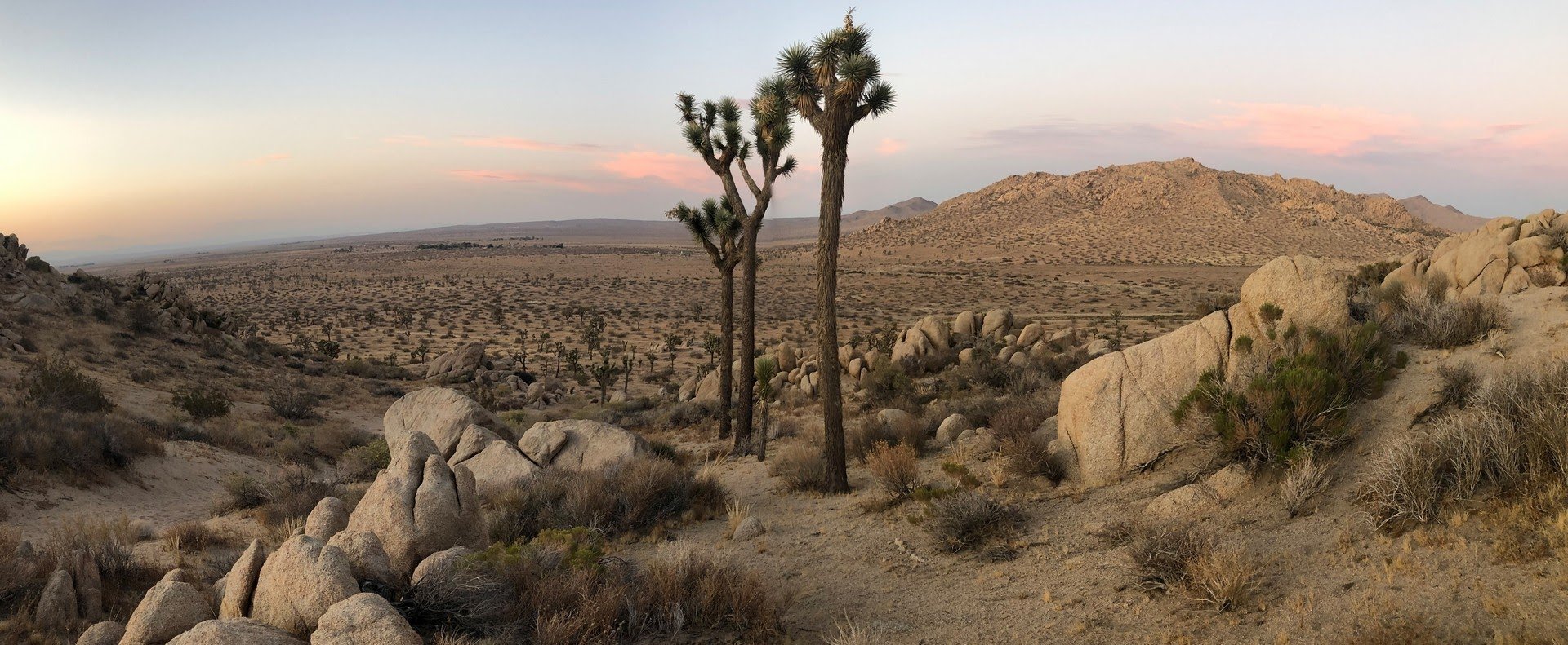 IMG_4479 Panorama.jpg