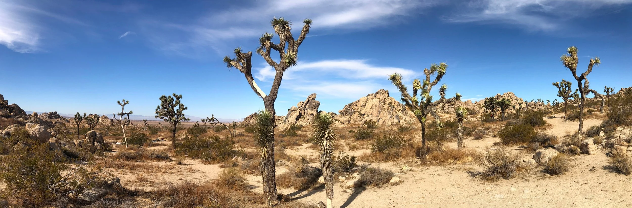 IMG_2236-Panorama.jpg