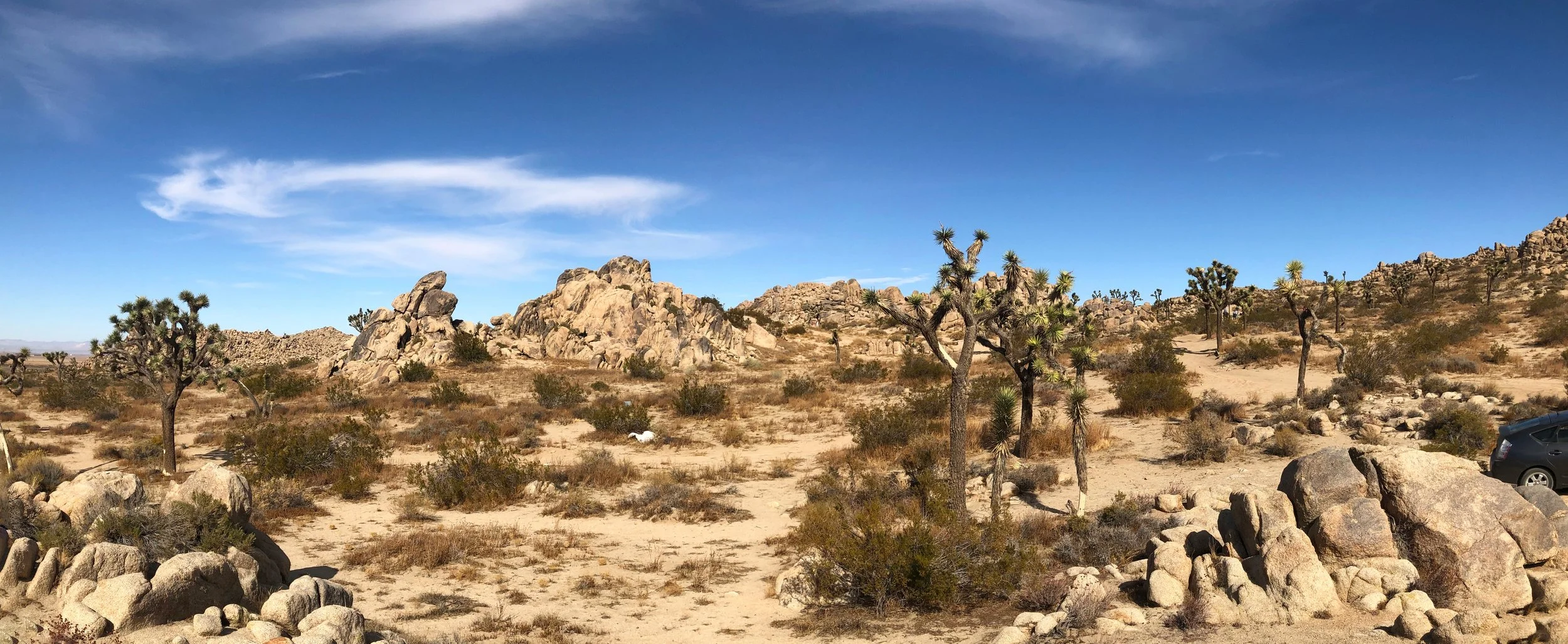 IMG_2244-Panorama.jpg