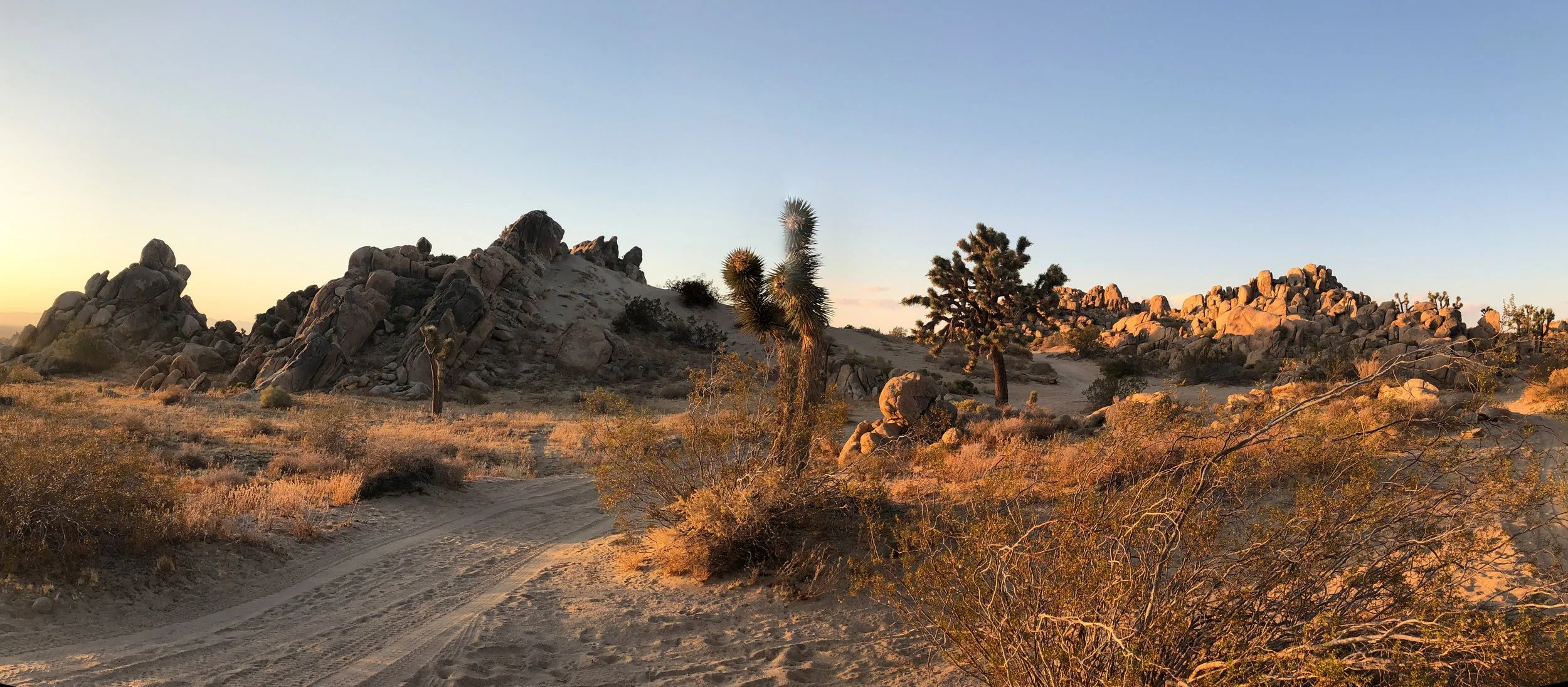 IMG_4554 Panorama.jpg