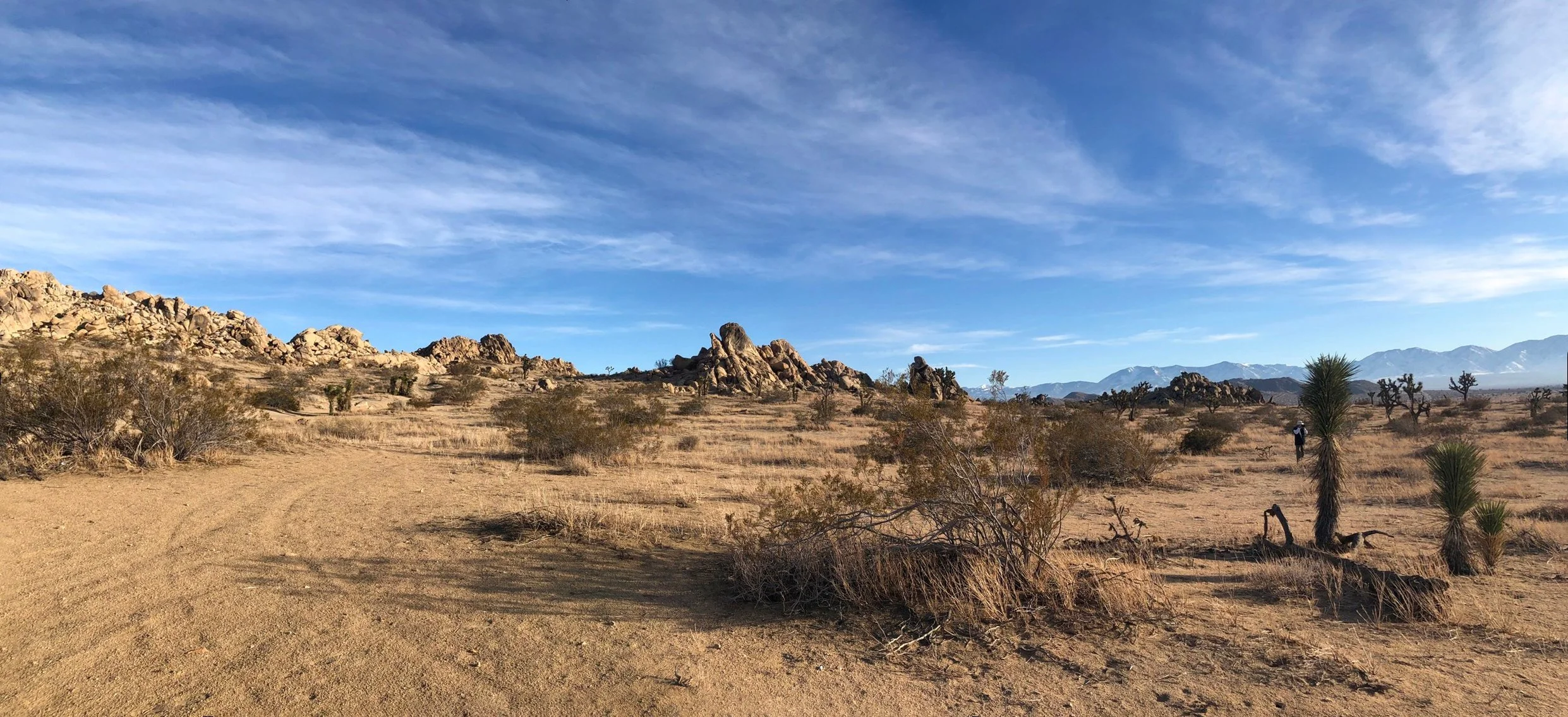 IMG_1044-Panorama.jpg