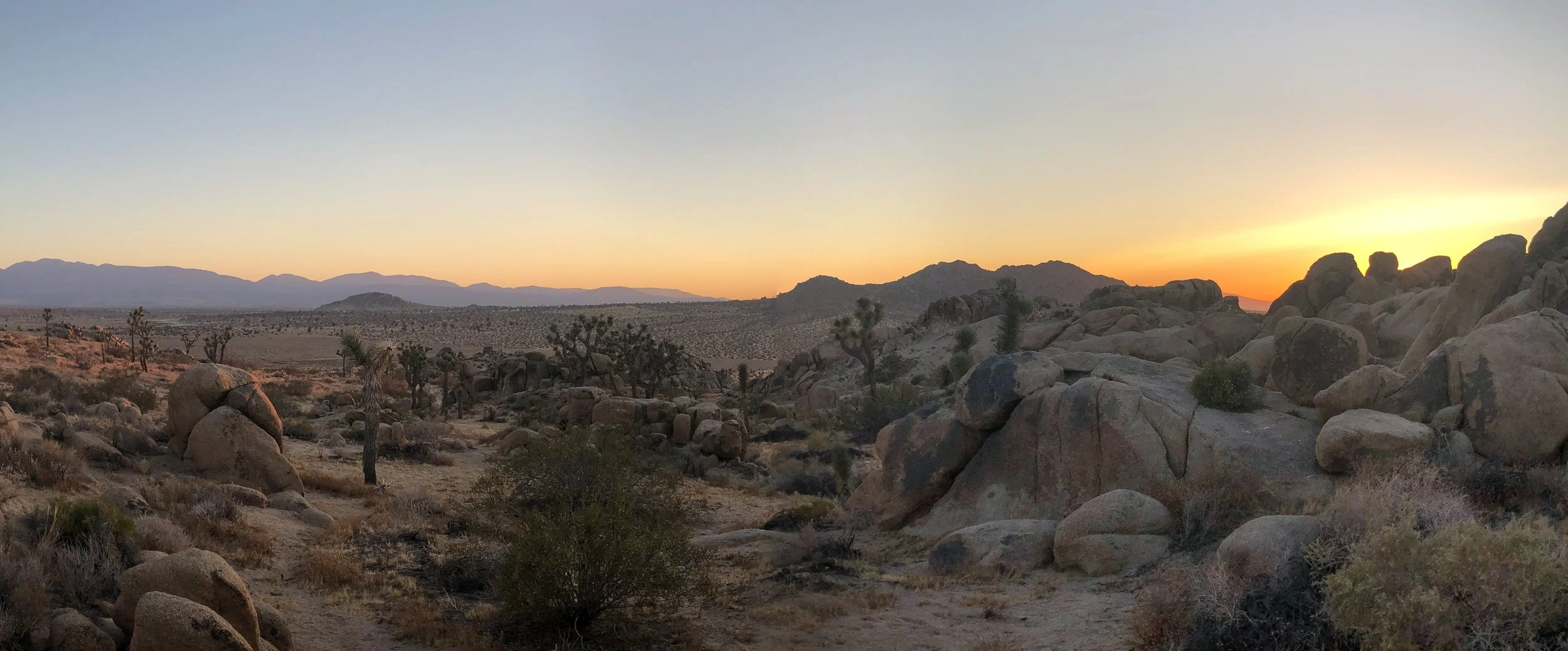 IMG_4424 Panorama.jpg