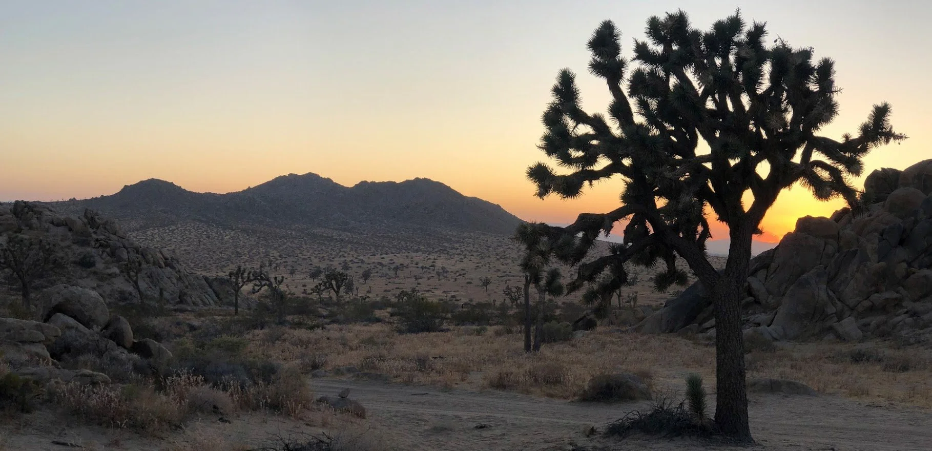 IMG_4612 Panorama.jpg