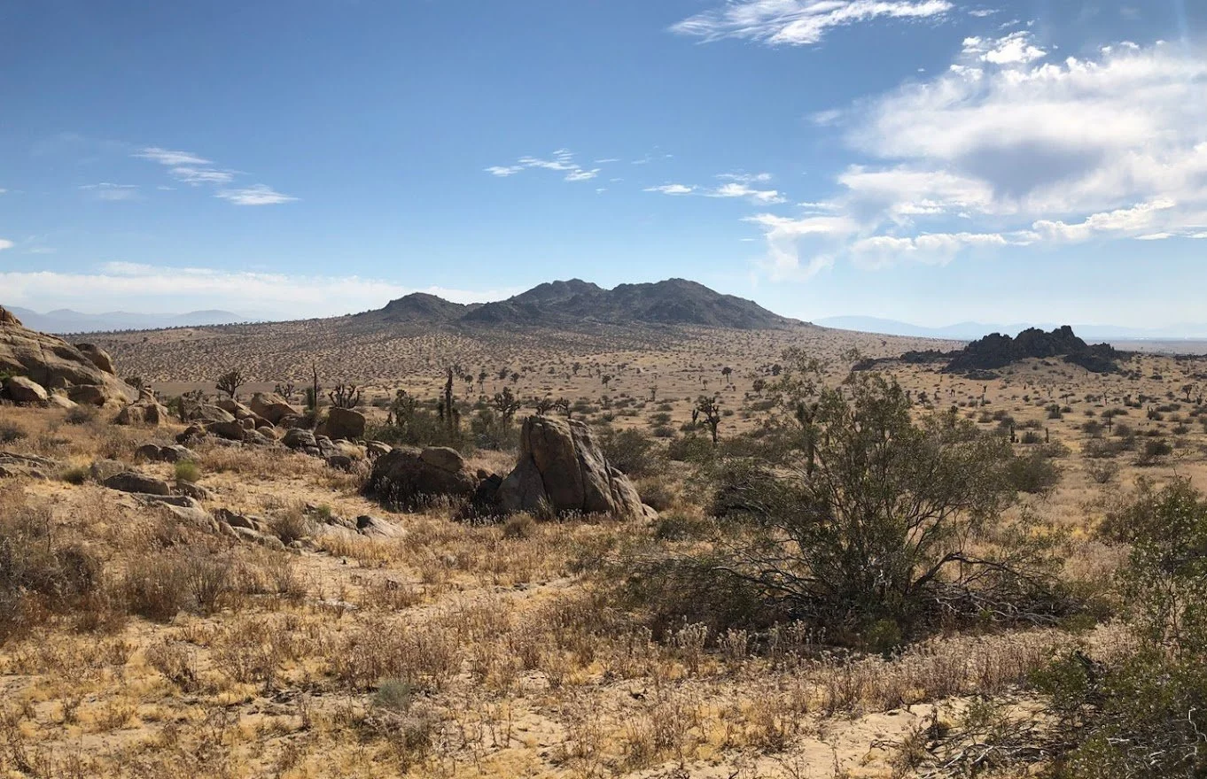 IMG_1730 Panorama.jpg