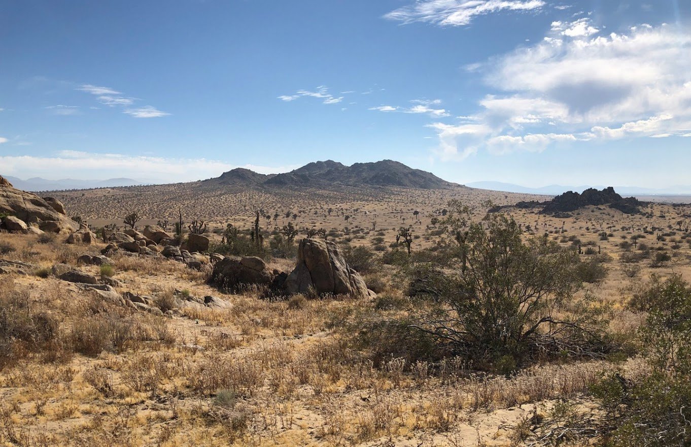 IMG_1730 Panorama.jpg