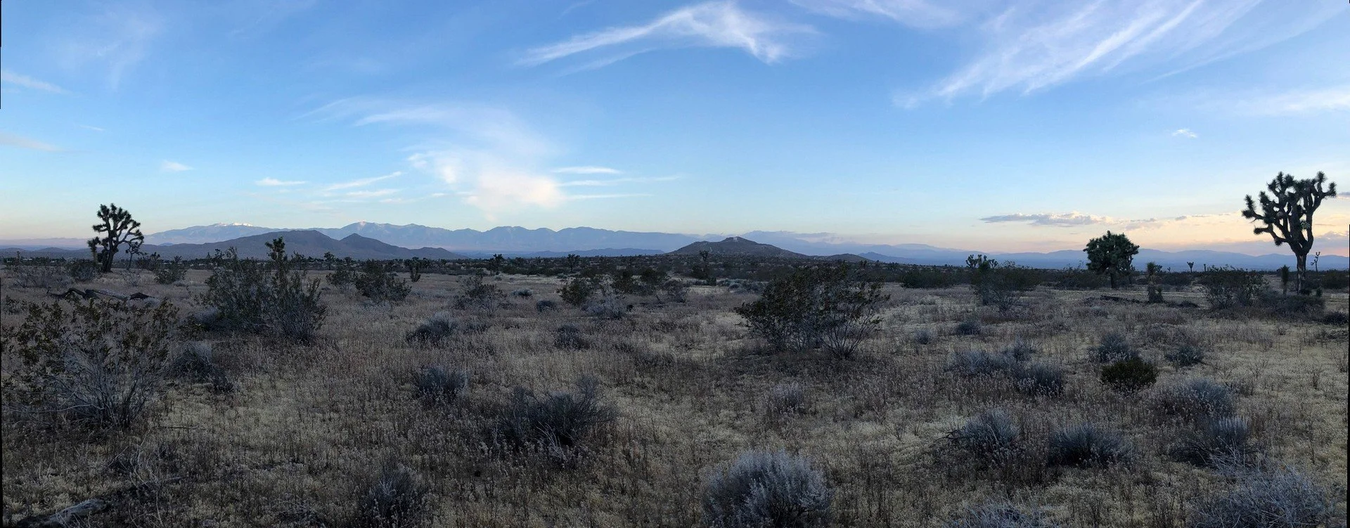 IMG_0896 Panorama.jpg