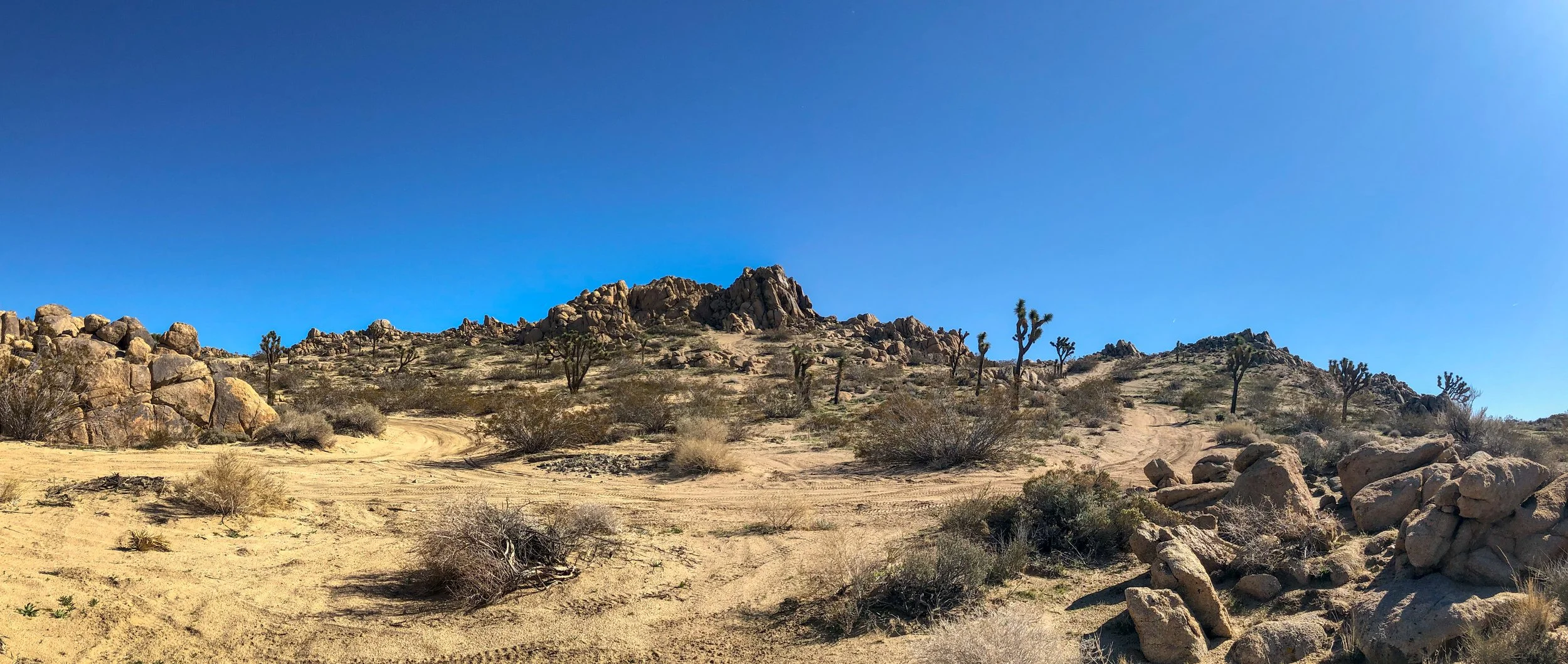 IMG_7869-Pano.jpg