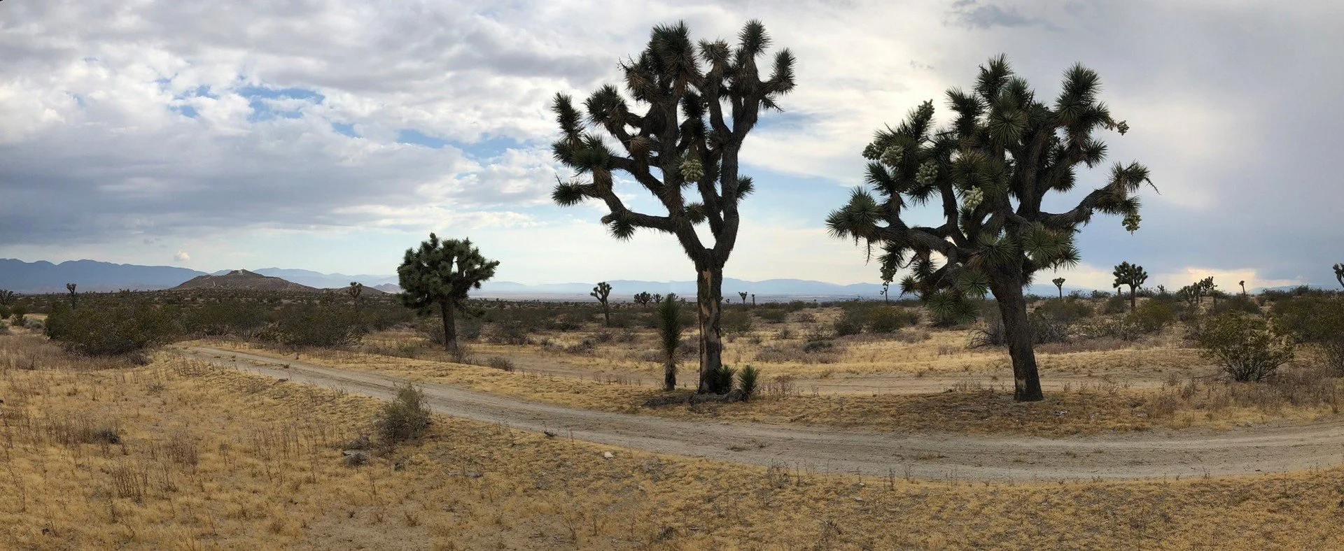 IMG_1361 Panorama.jpg