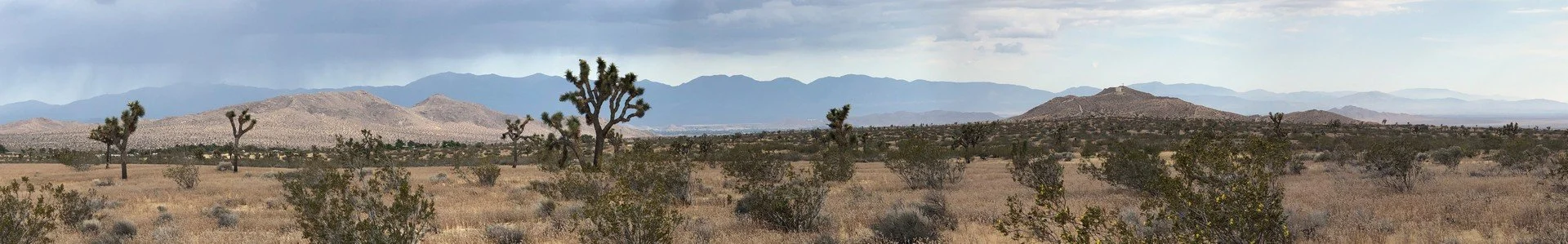 IMG_1320 Panorama.jpg