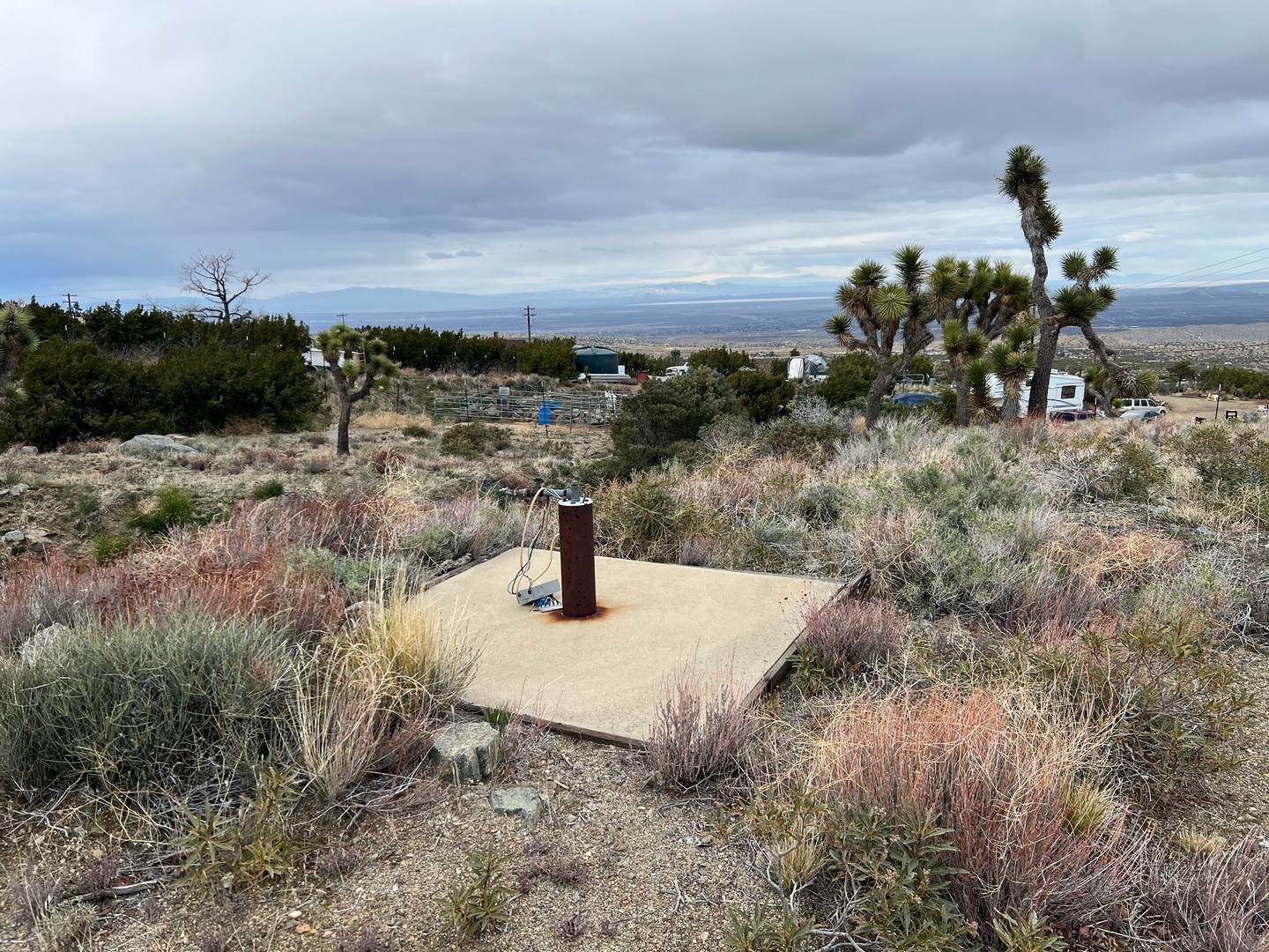 IMG_5008.JPG