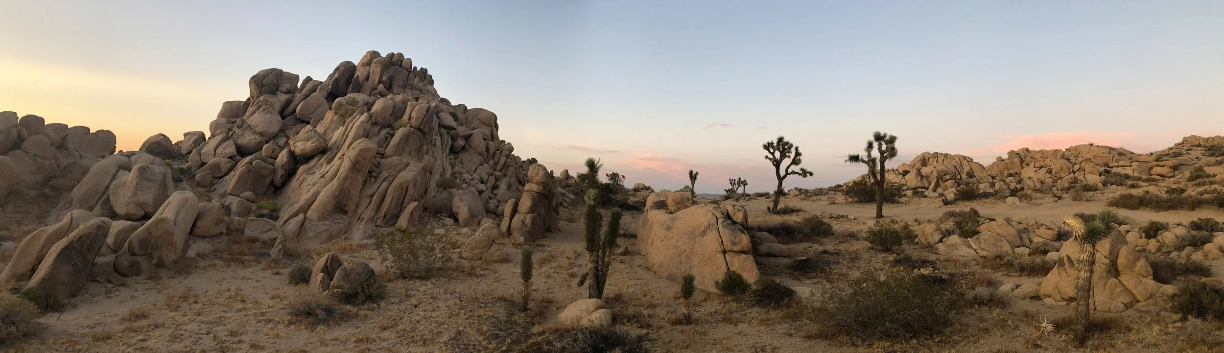 IMG_4468 Panorama.jpg