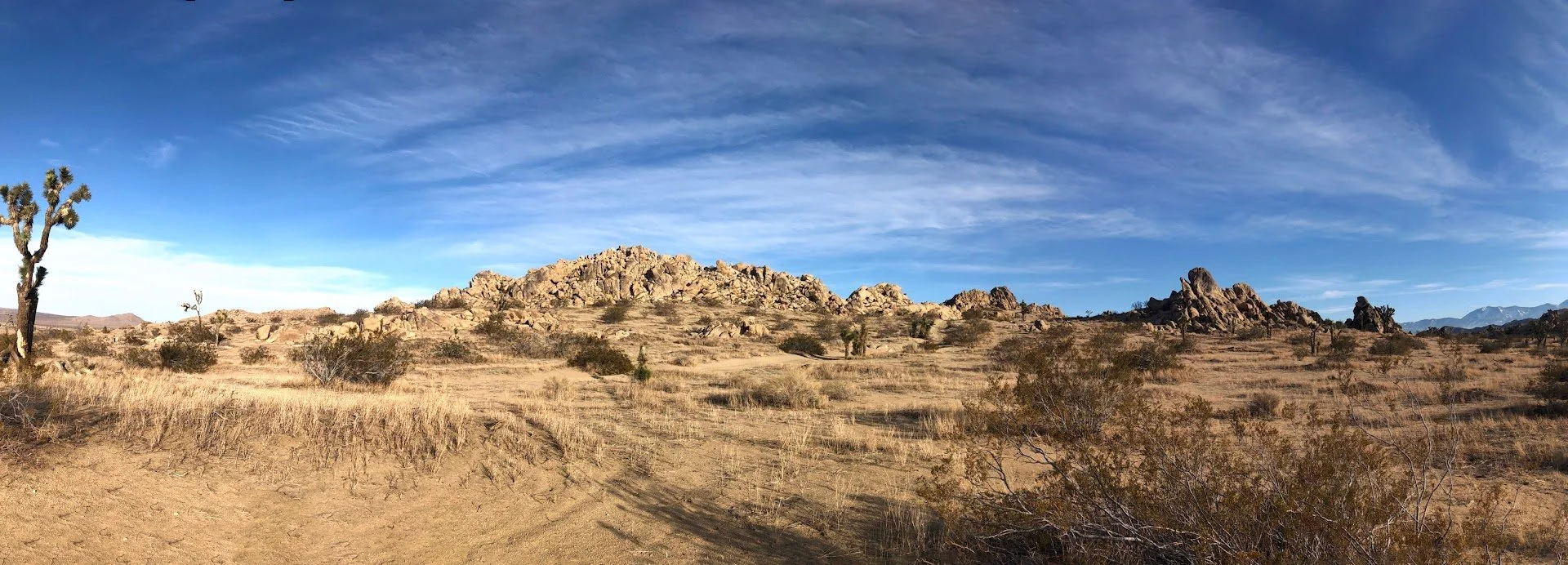 IMG_1046-Panorama2.jpg