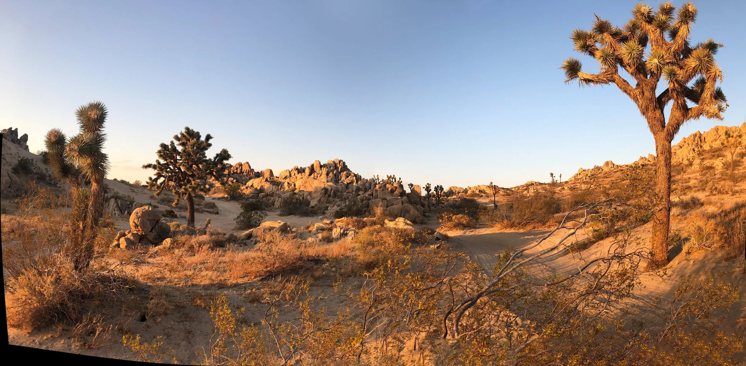 IMG_4561 Panorama (2).jpg