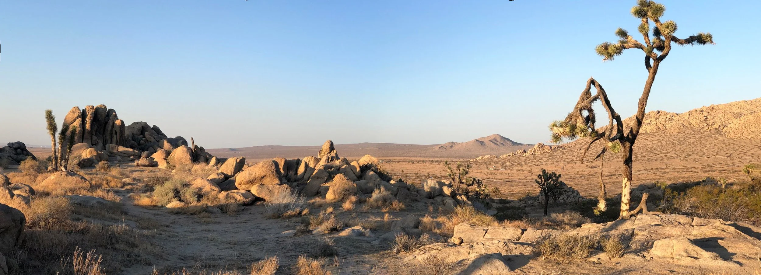 IMG_4859-Panorama.jpg