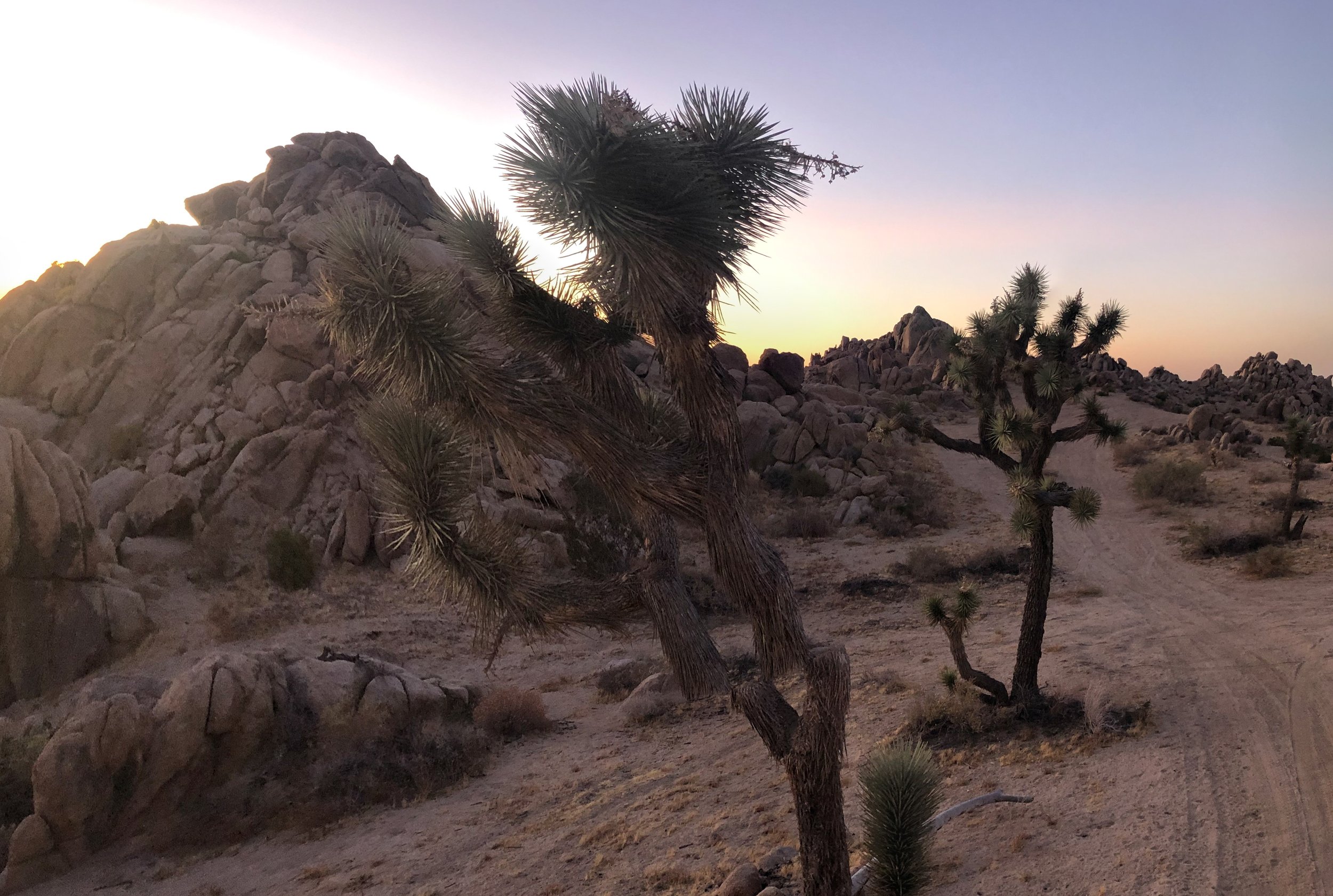 IMG_4515 Panorama-Edit.jpg