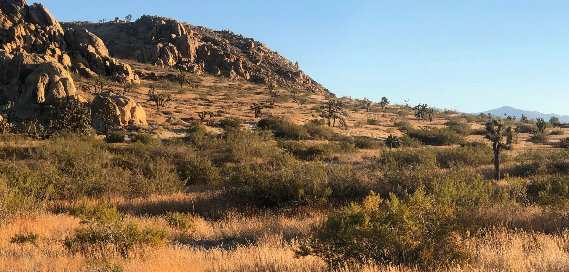 IMG_2196-Panorama4.jpg