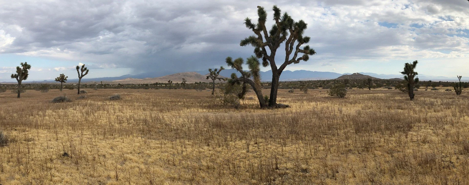 IMG_1352 Panorama.jpg