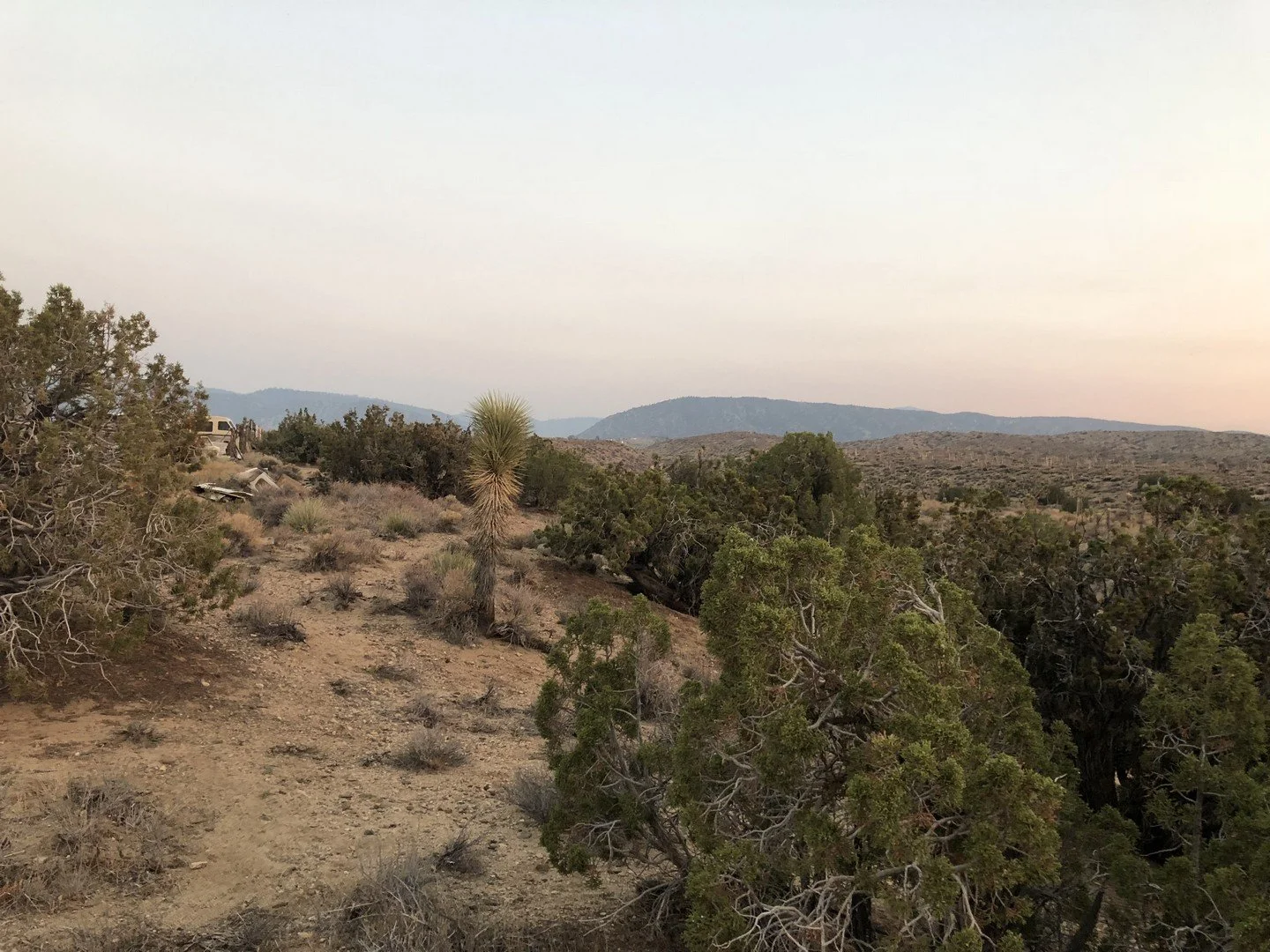2018-08-08 19.51.09.jpg