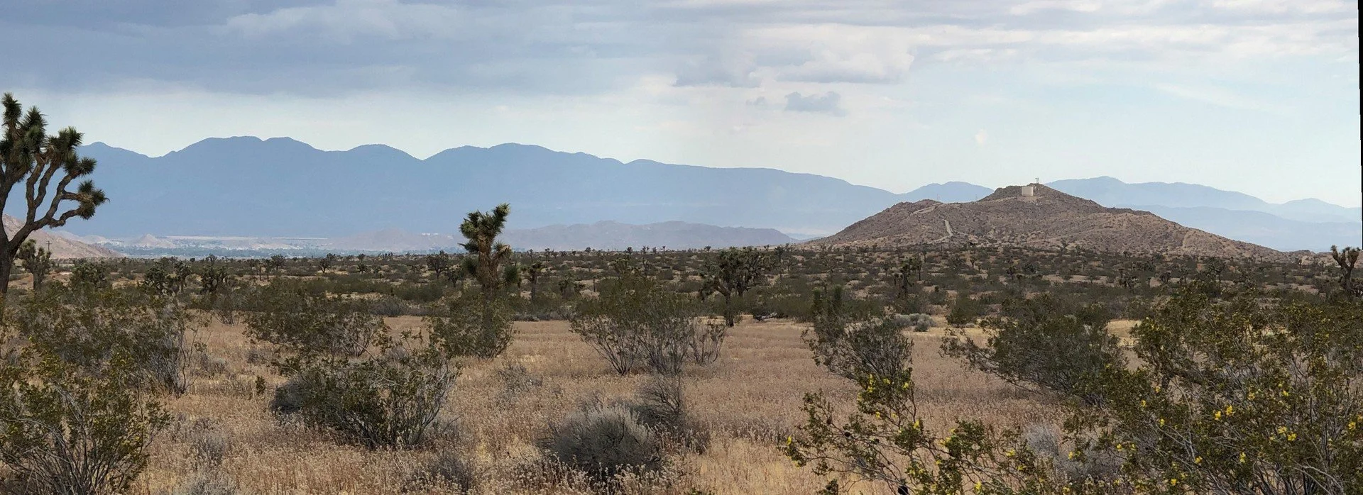 IMG_1322 Panorama.jpg