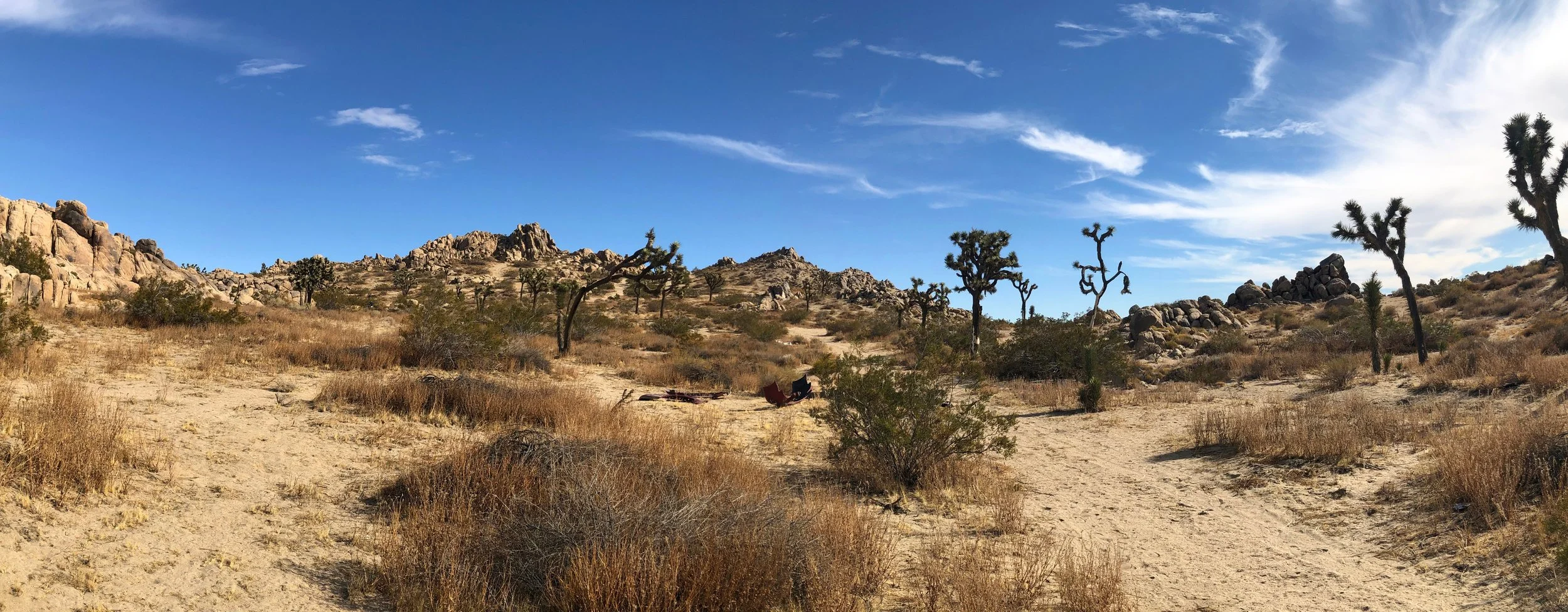 IMG_2253-Panorama.jpg