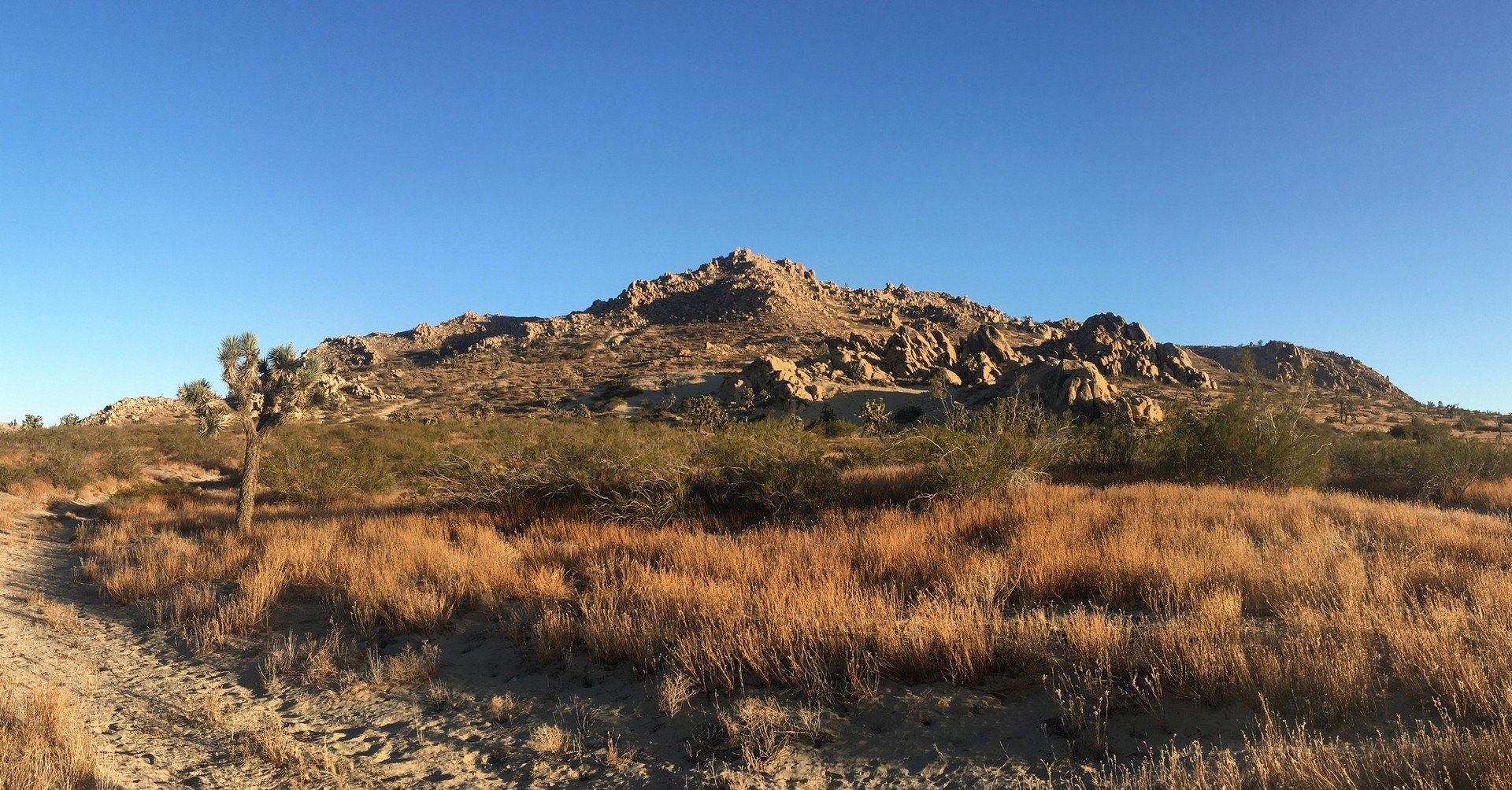 IMG_4212-Panorama6.jpg